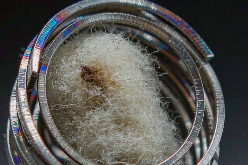 B2B Supply of Kafficarat coils — express air