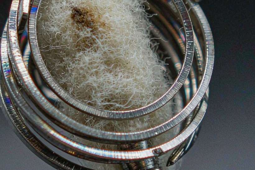 Buyer's Guide to Kafficarat coils — container load