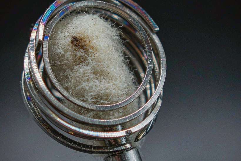 Regional Review of Kafficarat coils — Winter special