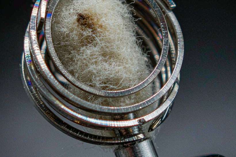 Shipping Guide for Kafficarat coils — container load