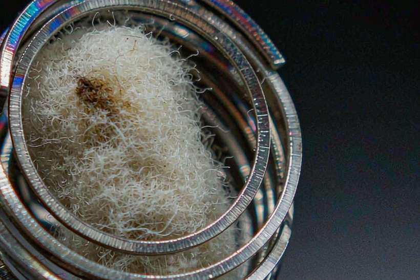 Sourcing Report on Kafficarat coils — OEM available